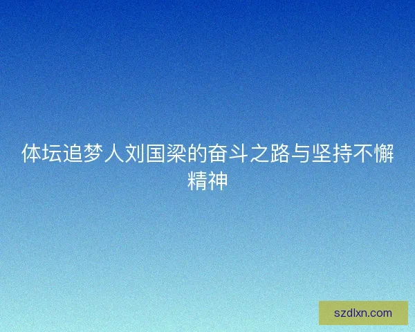 体坛追梦人刘国梁的奋斗之路与坚持不懈精神