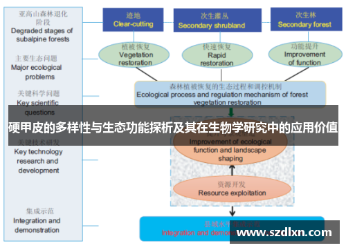 硬甲皮的多样性与生态功能探析及其在生物学研究中的应用价值