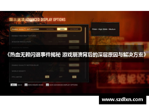 《热血无赖闪退事件揭秘 游戏崩溃背后的深层原因与解决方案》